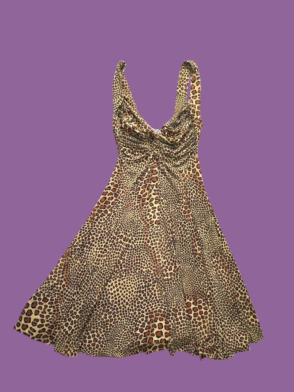 Animal Print A-Line Dress in Brown